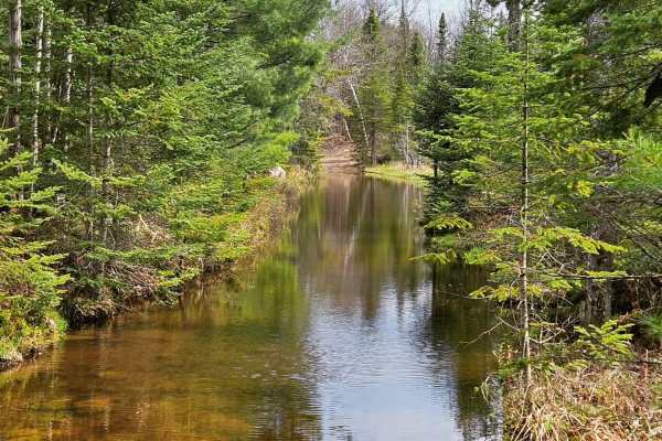 Pencil Lake
