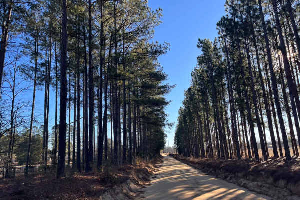 Brairwood Road