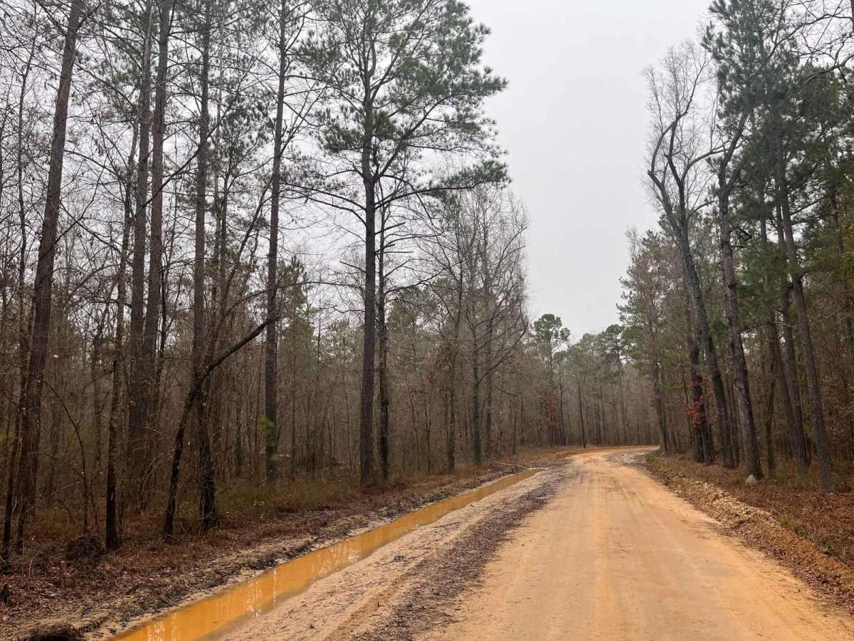 Landing Road photo 4