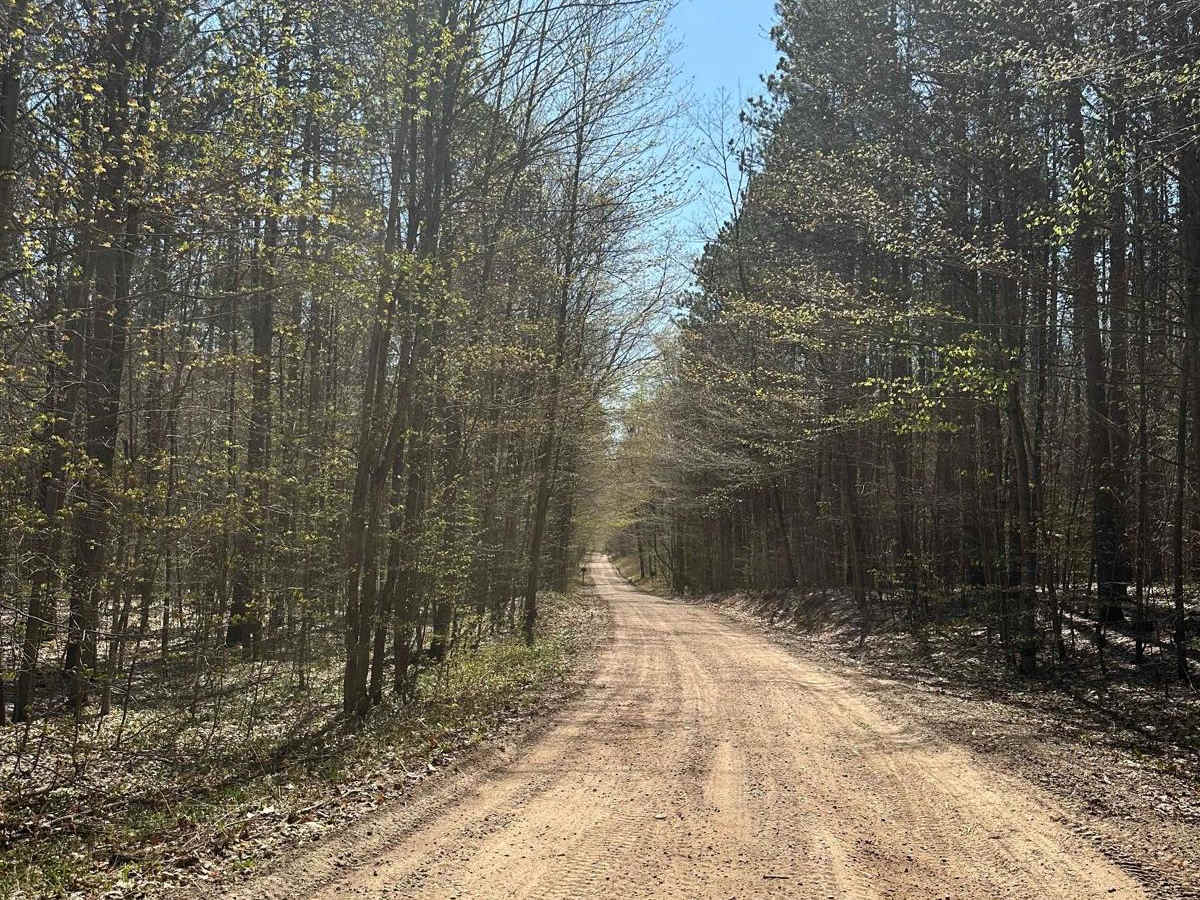 Cadillac Area ORV/OHV Scenic Ride - Part 14 photo 2