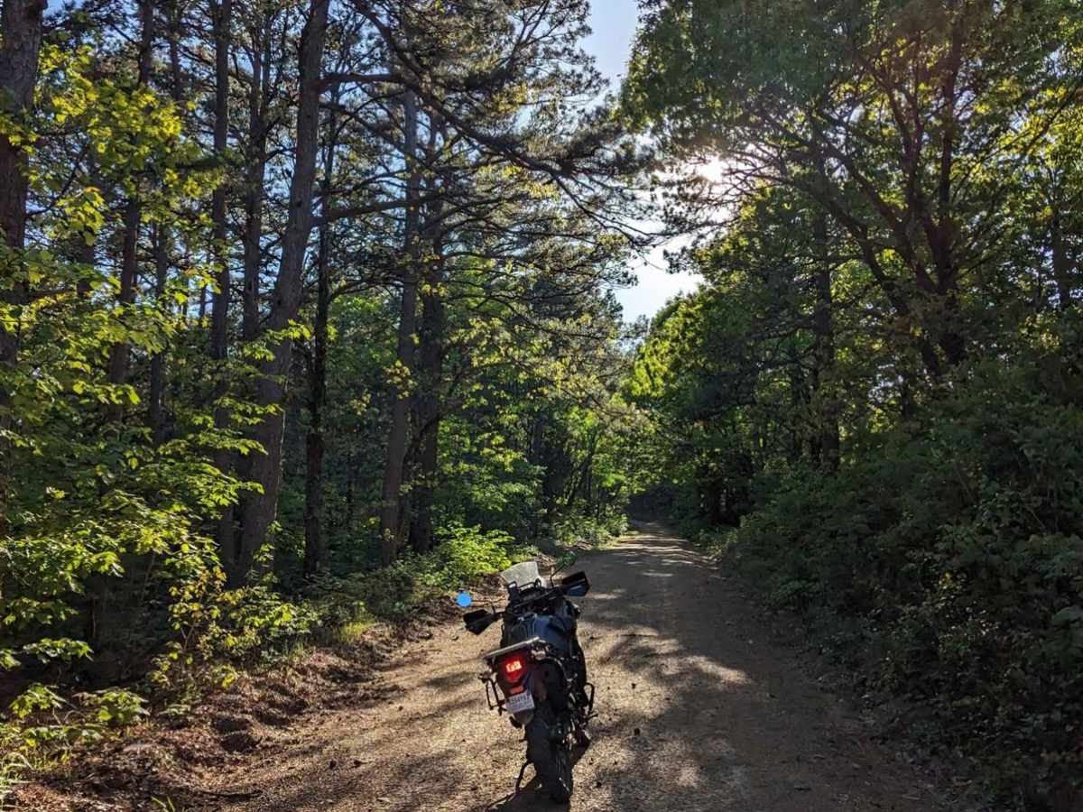 Page Smithville Route: OHV Trail 6007 photo 6