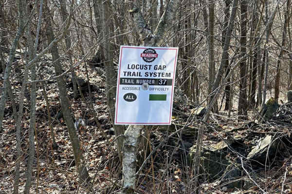 Locust Gap 37