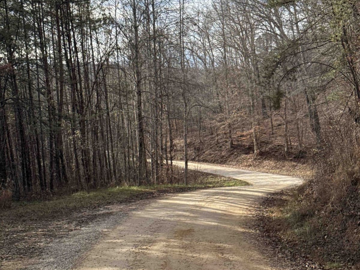 White Ash Road photo 2