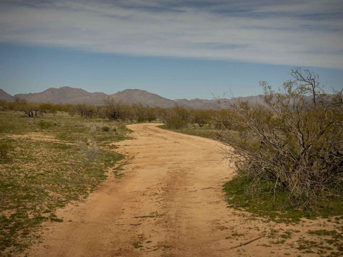 Nelson's Cutoff photo 6