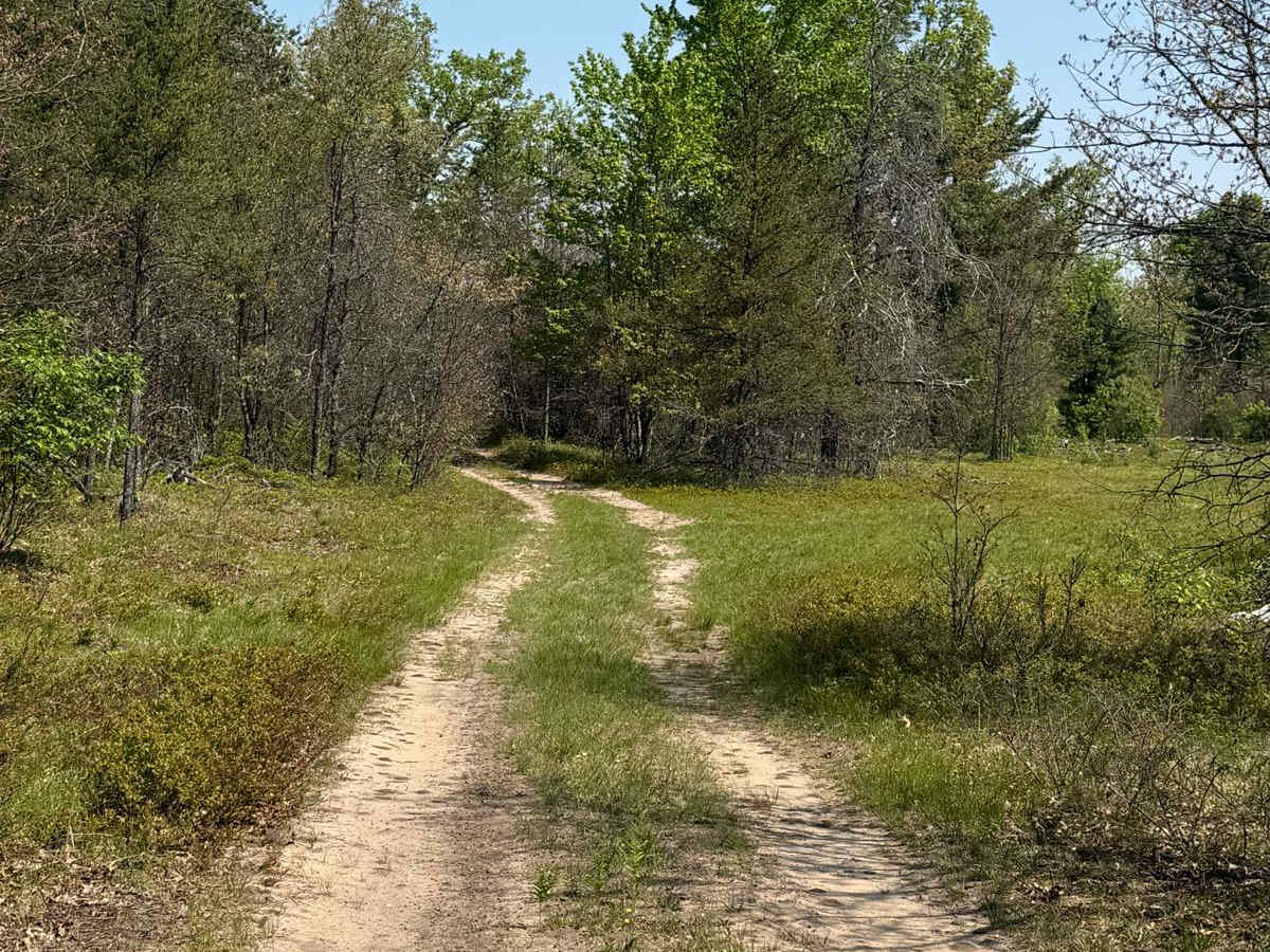 County Meadow Trail photo 5