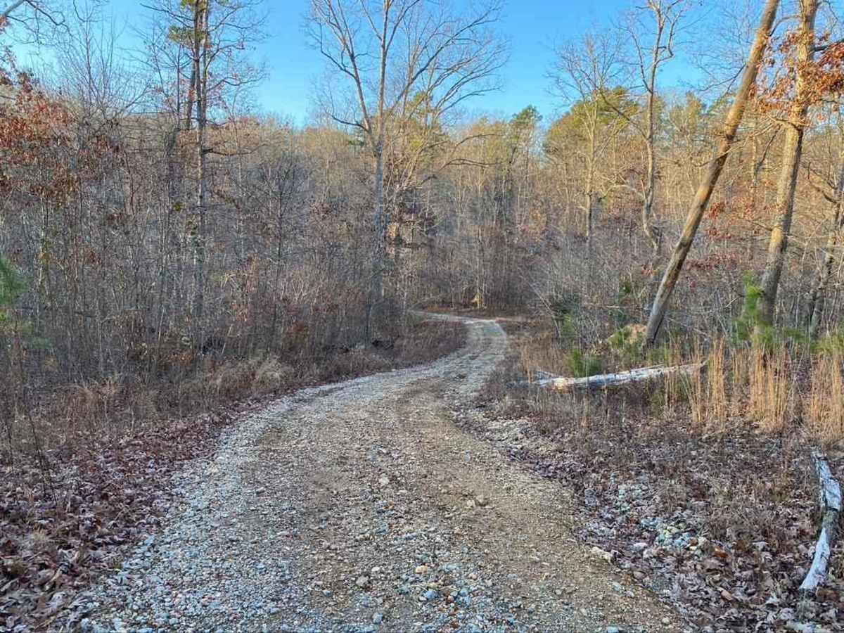 Dogtrot Hollow FSR 2134 photo 6