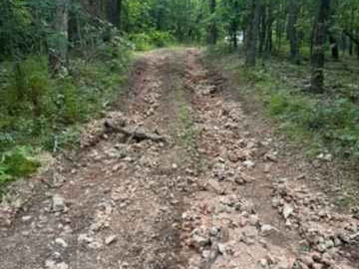 Whitley's Trail photo 4