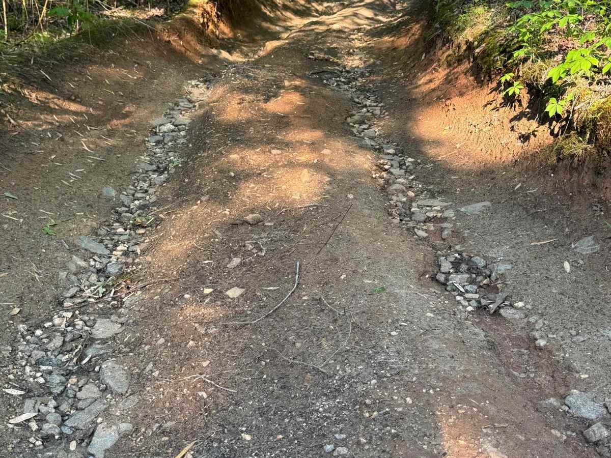Clemson Trail photo 2