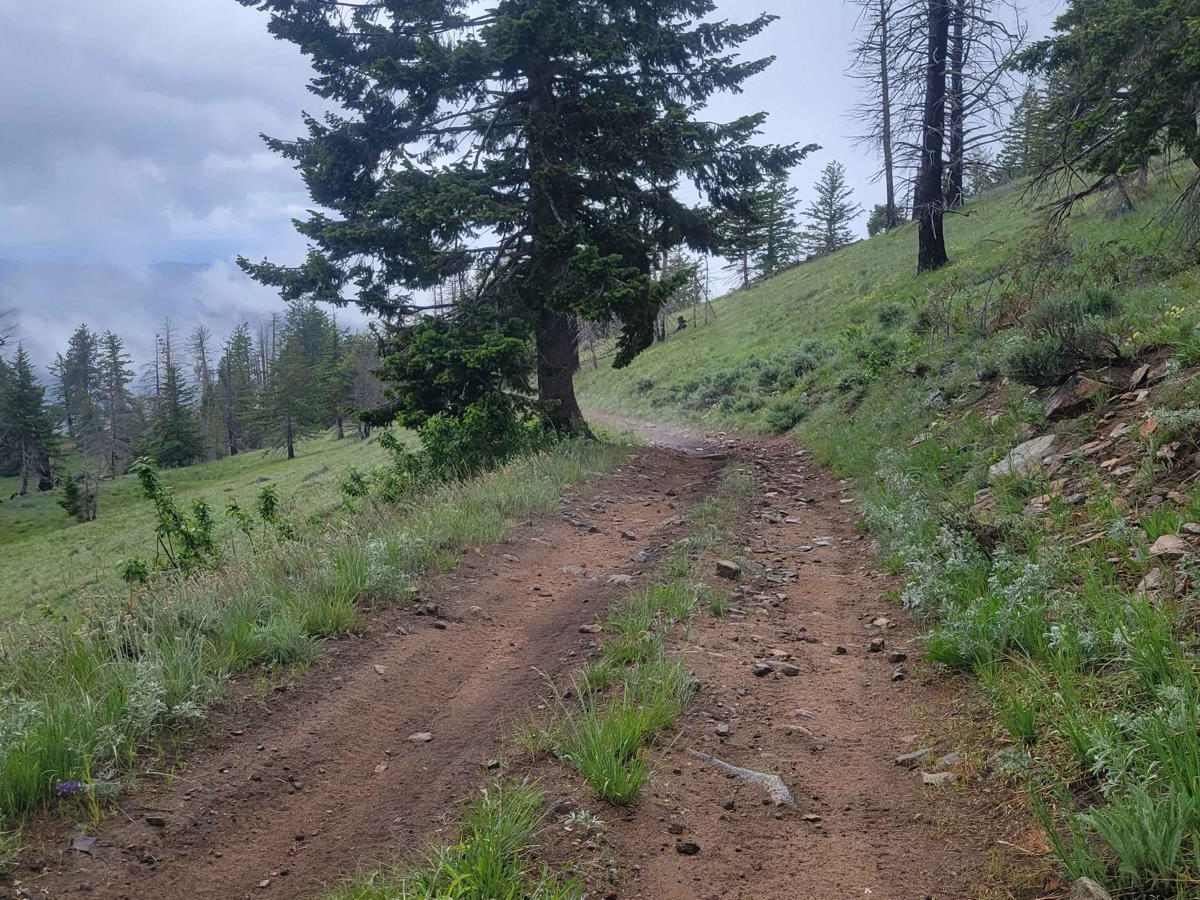Upper Buck Mountain photo 5