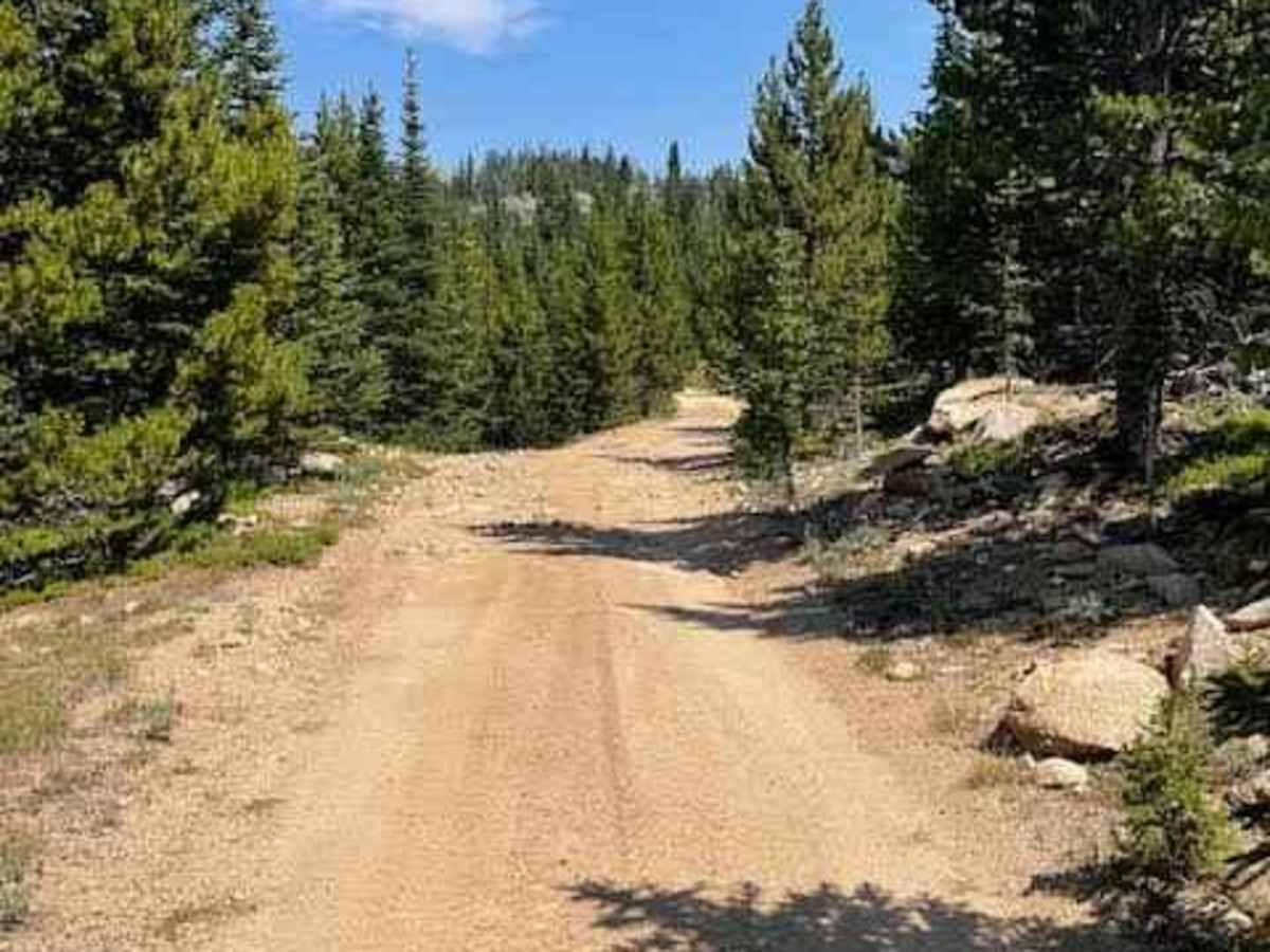 Lookout Mountain Road photo 4
