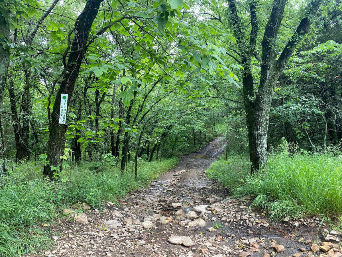 East Autobahn trail photo