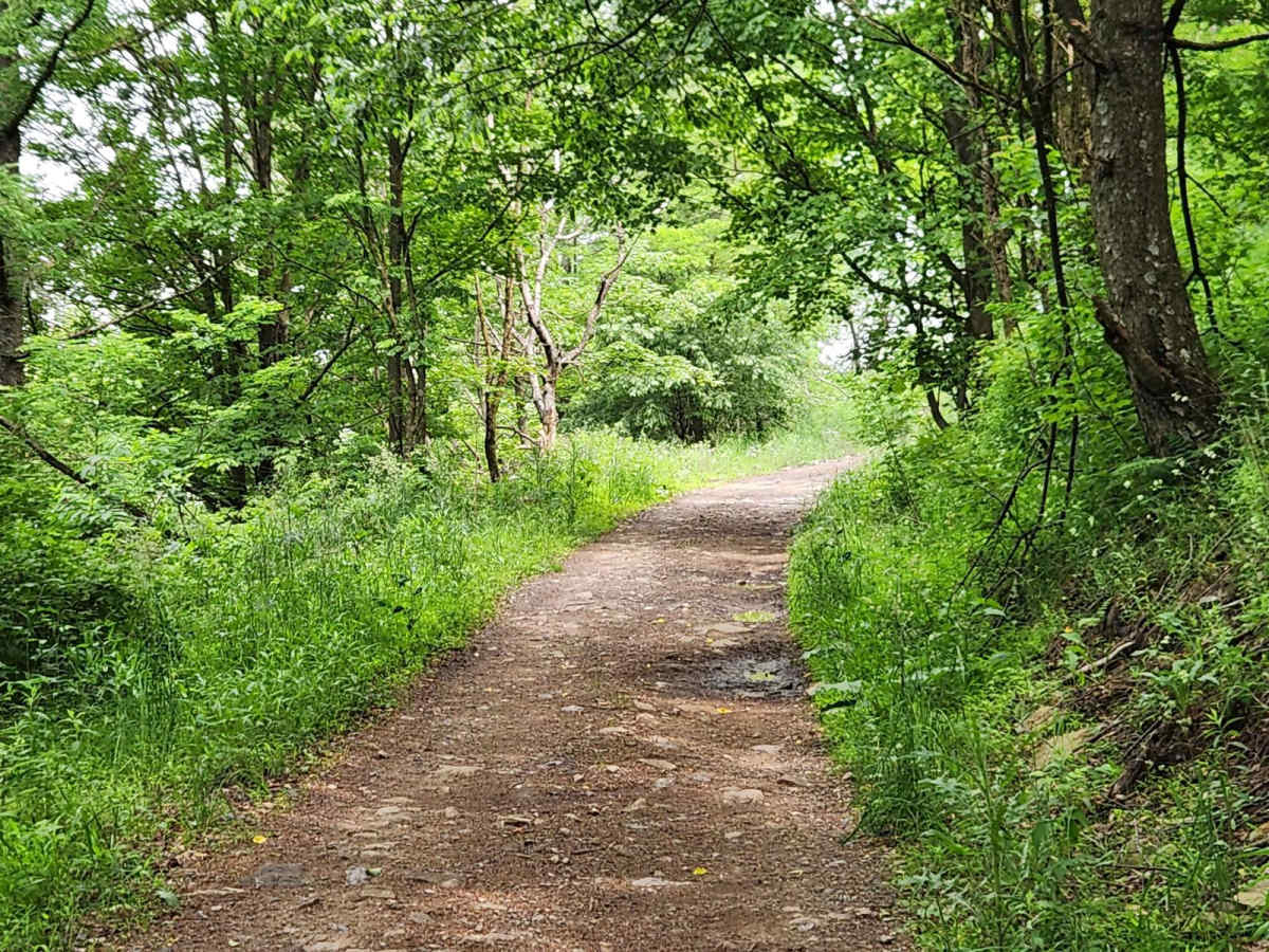 Trail 3 - Green - Rock Run Recreation Area photo 5