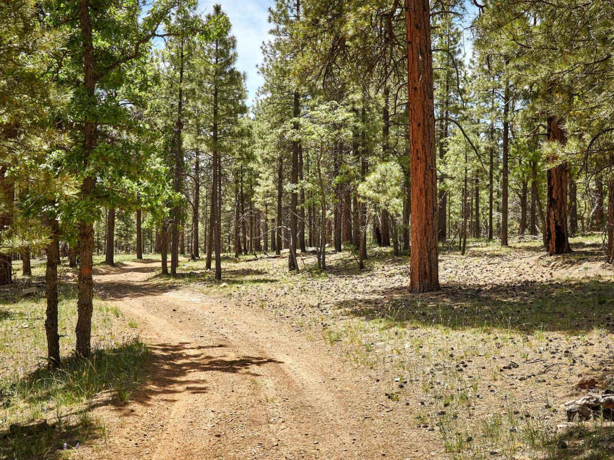 Elk Cabin photo 3