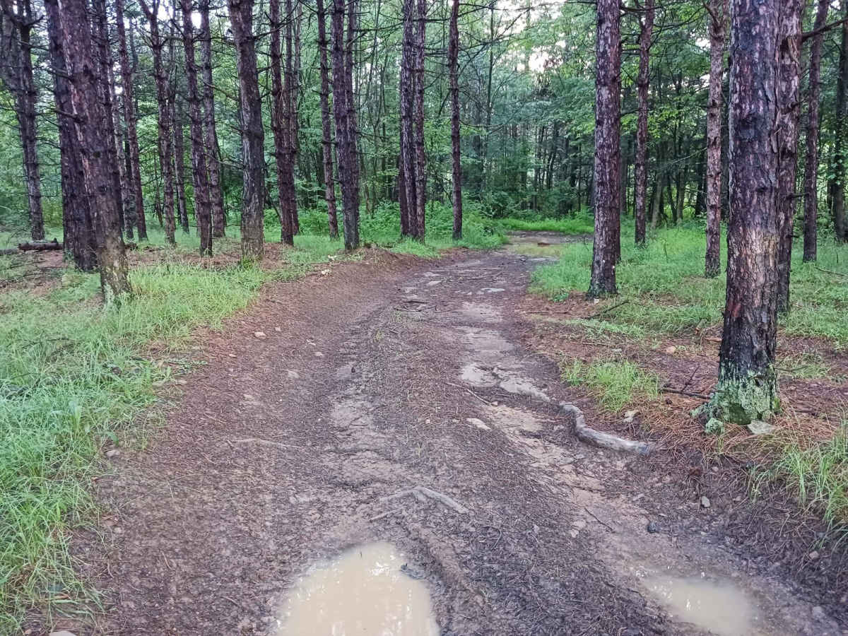 Trail 12M - Rock Run Recreation Area photo 5