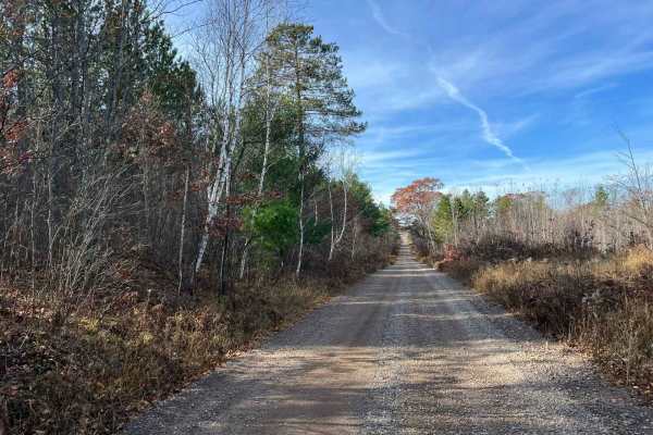 Marinette County Spur Lake Road F5 Trail