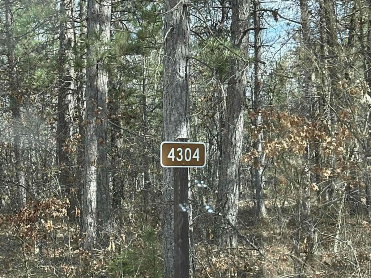 FS 4304 trail photo