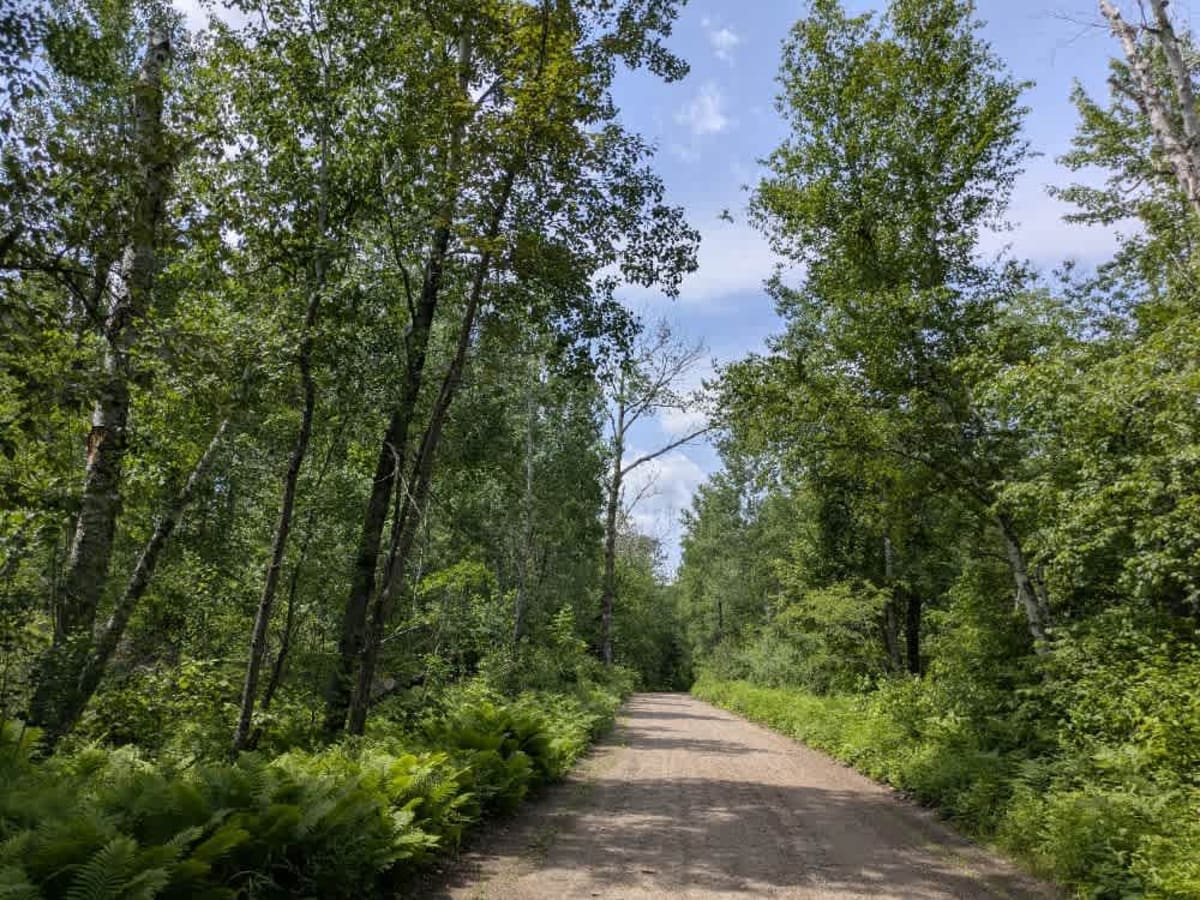 West Spider Lake Drive photo 4
