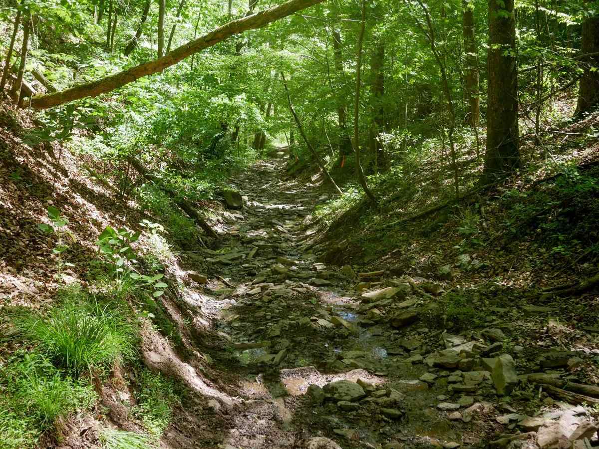 Trail 26 Razor Bypass photo 2