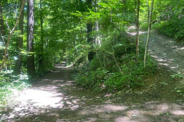 Trail 1
