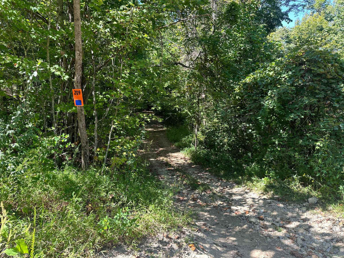 209 trail photo