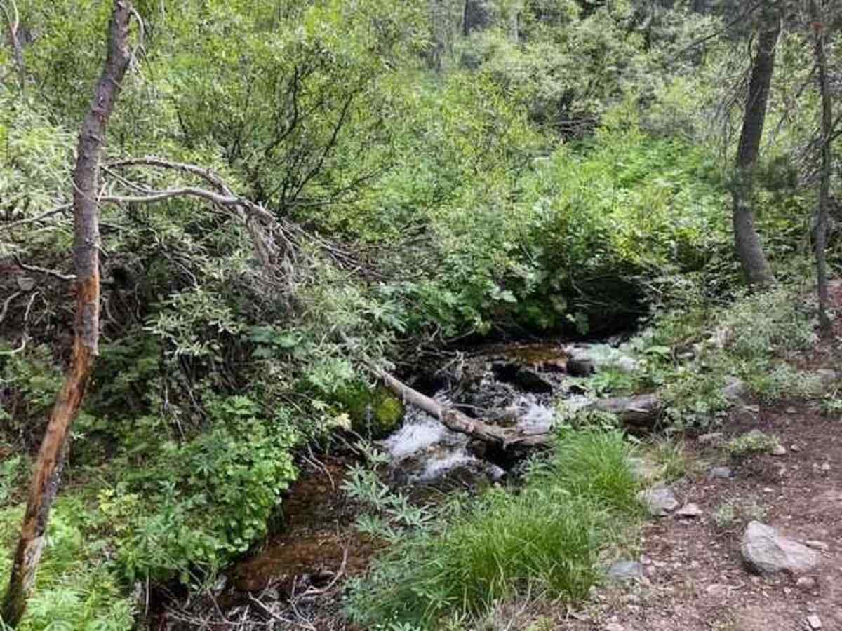 Hunter Lake photo 6