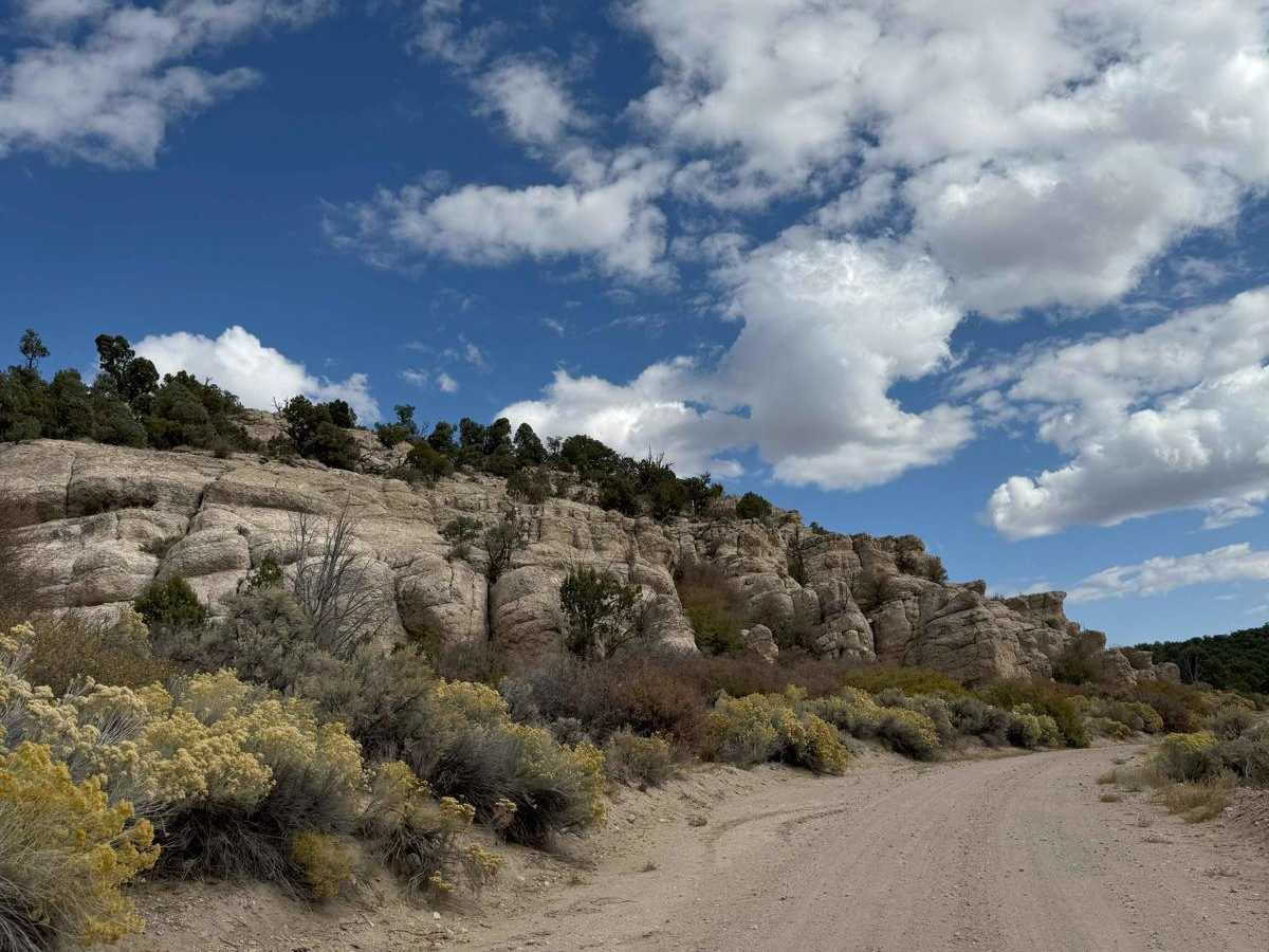 Deer Lodge Road trail photo
