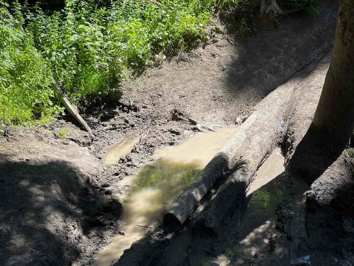 South Horseshoe photo 2