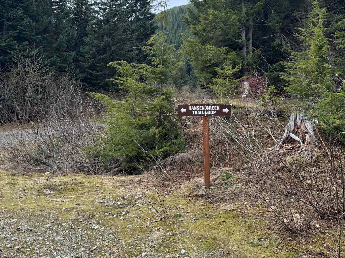 Hanson Creek - 5510 photo 4