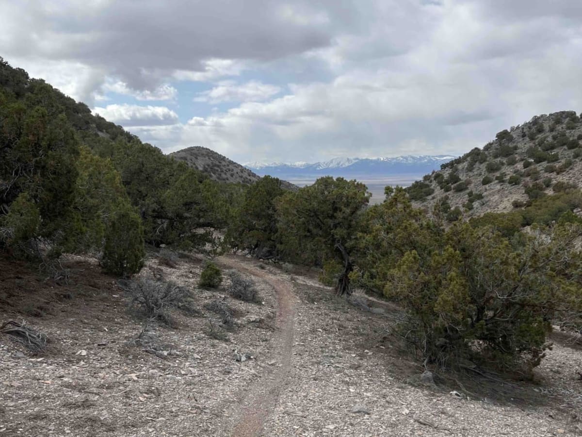Rib Cage Canyon photo 2