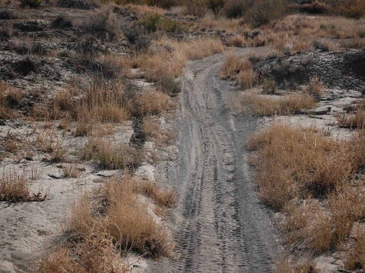 Fast Trail photo 5
