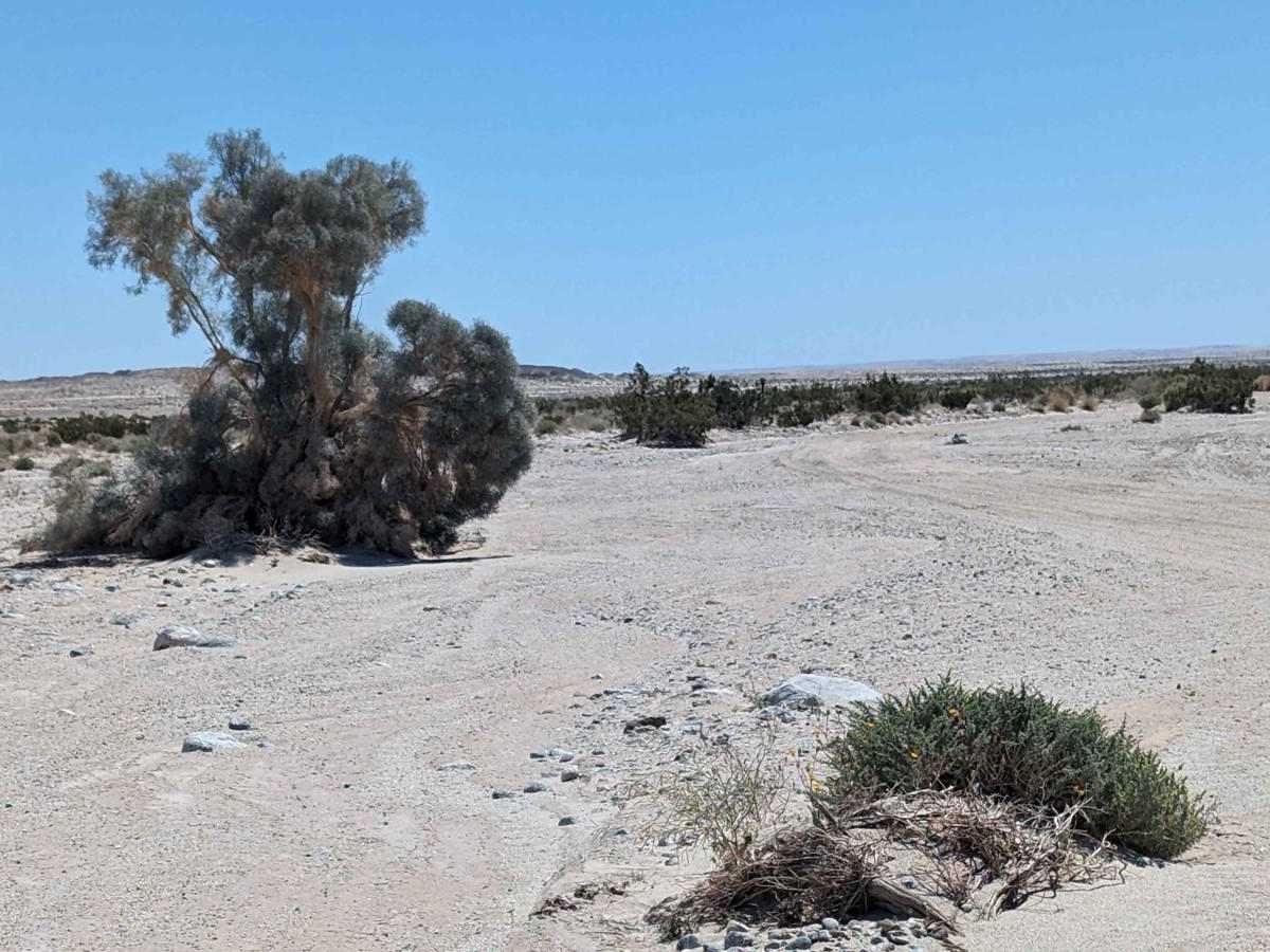 Bank Wash trail photo