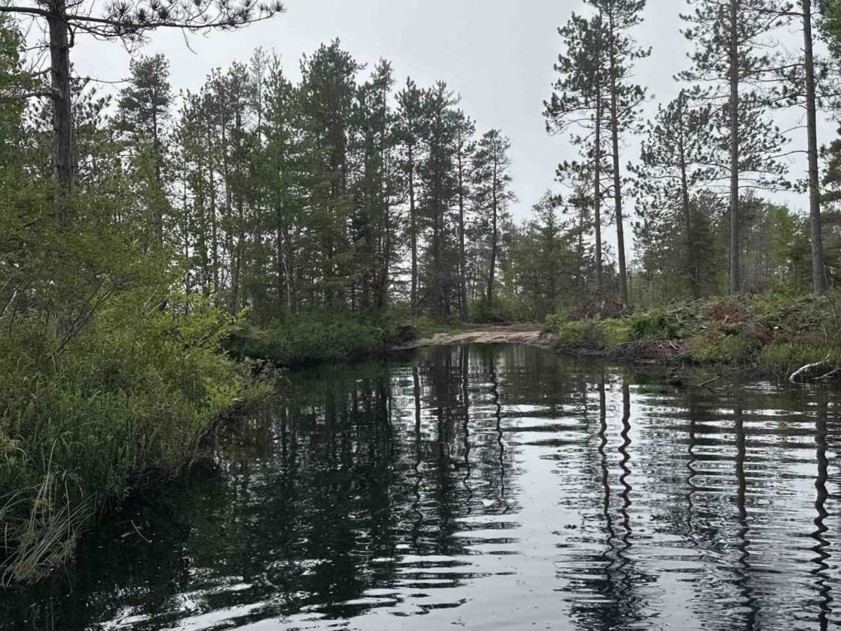 Whitefish Lake Superior  photo 5