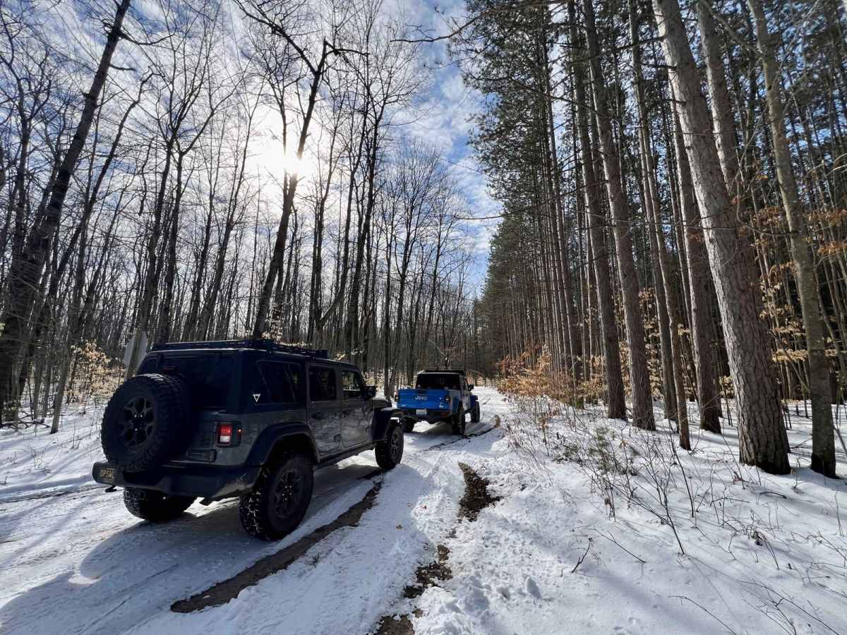 NFS 5534 (Brush Lake Trail) photo 3