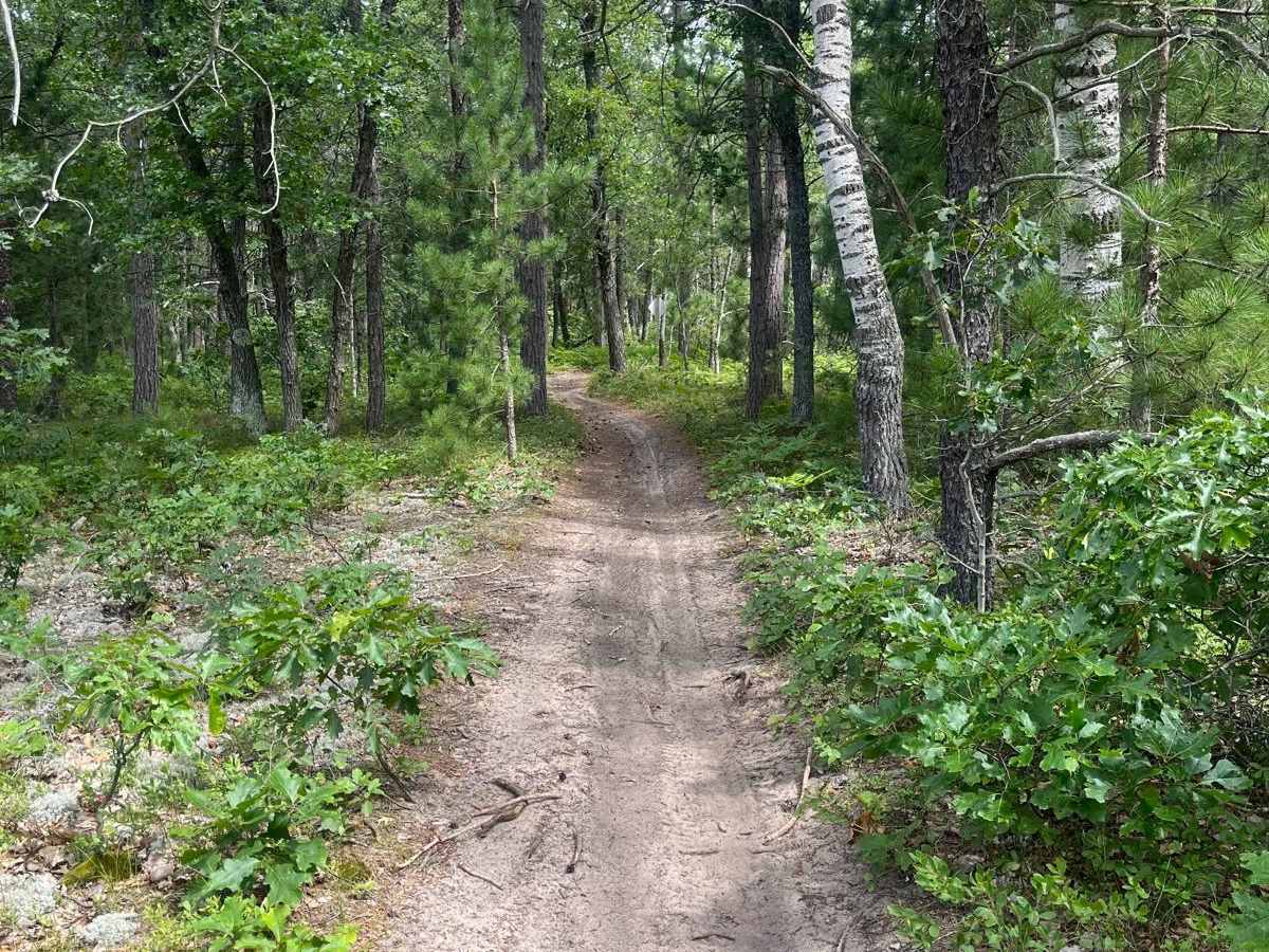 Red Bridge Trail photo 6