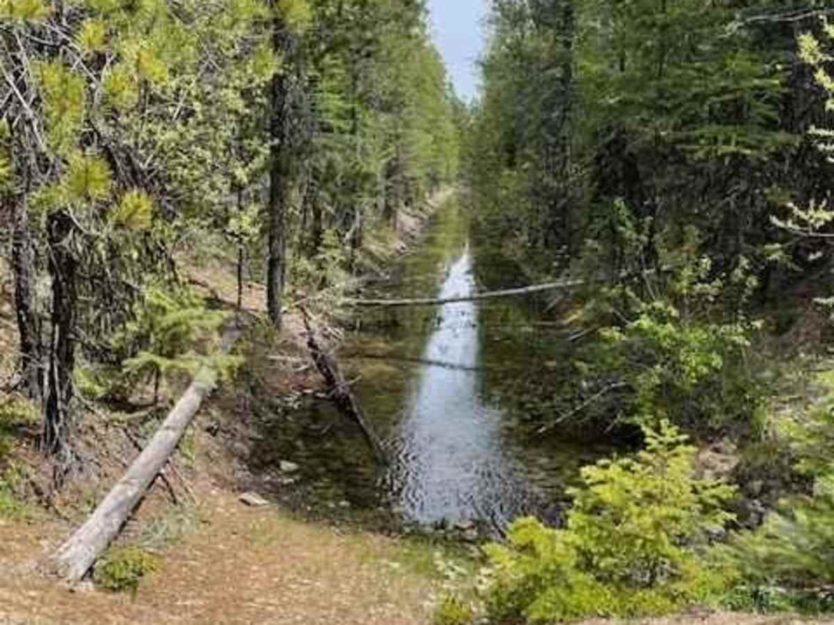 Divide Cutoff Road photo 2
