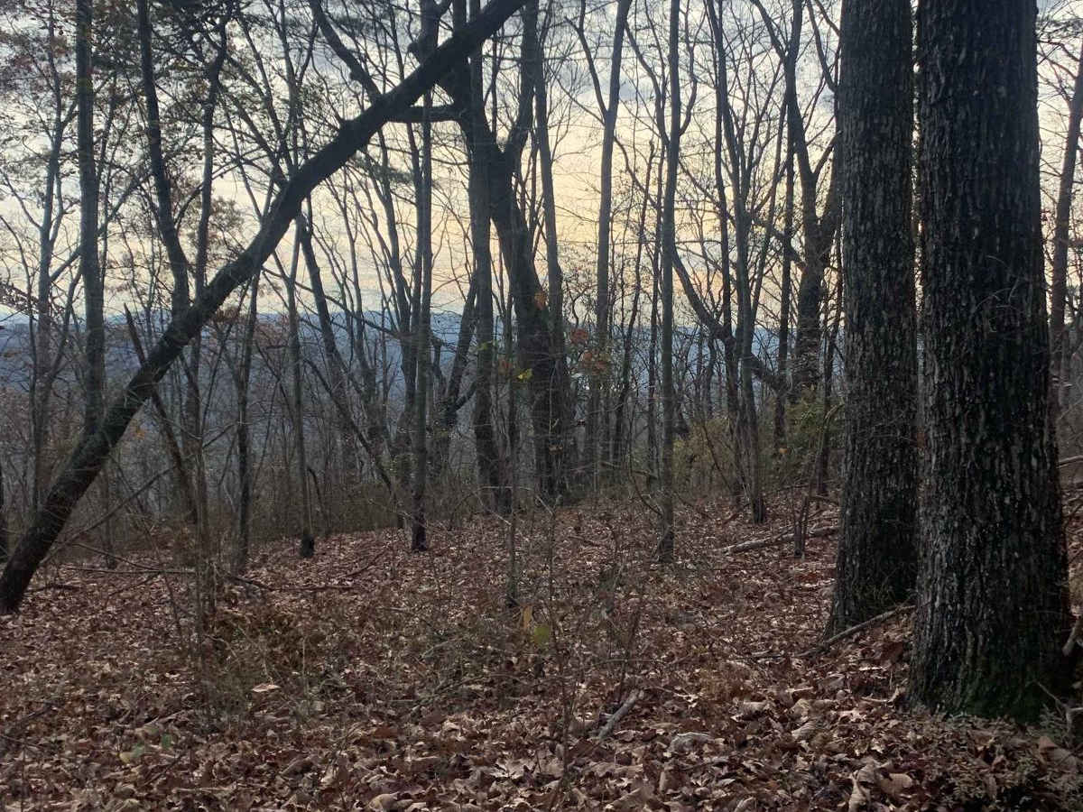 Dry Branch Road photo 2