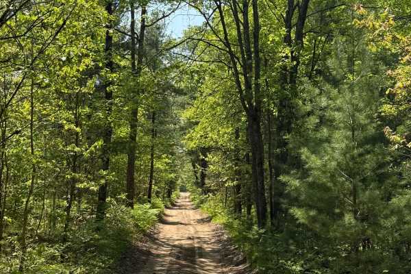 Harrington Trail
