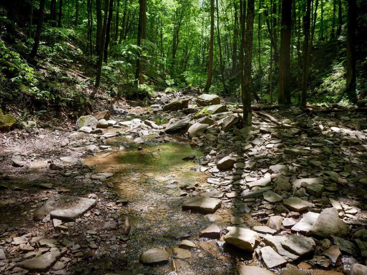 Trail 7 trail photo