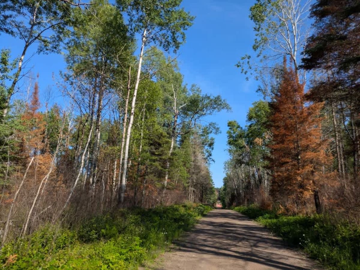 Langley West Road trail photo