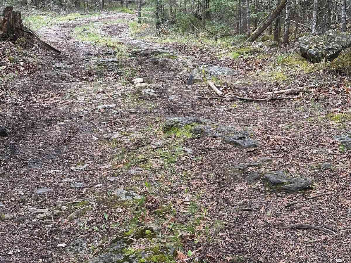 Small Ledge Loop photo 2
