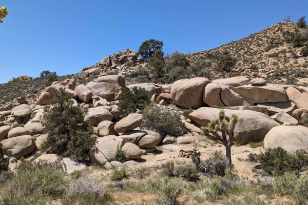 Spur Roads - BLM C2319 - C2352