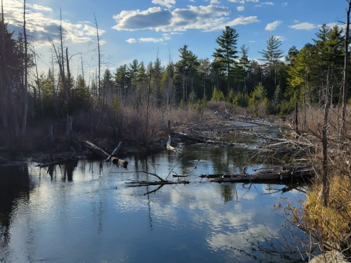 West Lake Southern Tip photo 2