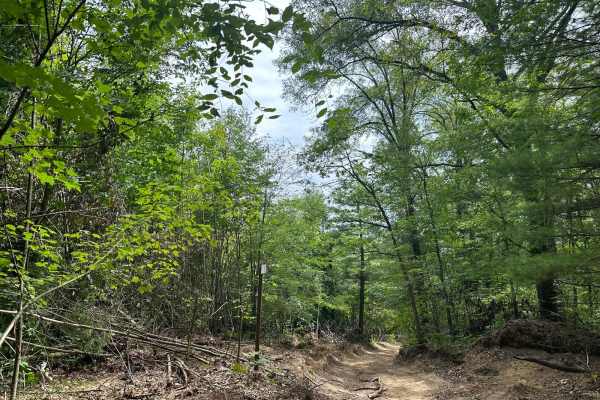 Langston Trail