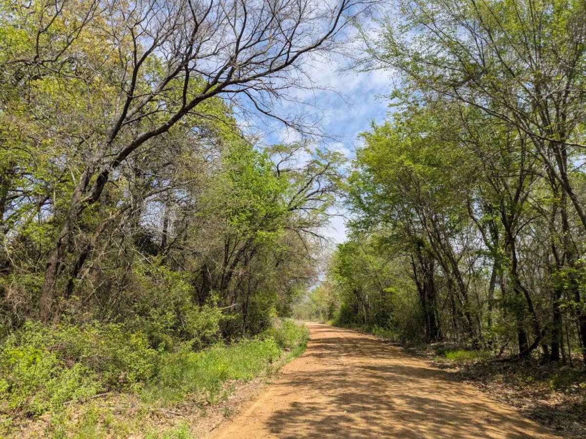 Bumpass Road photo 4