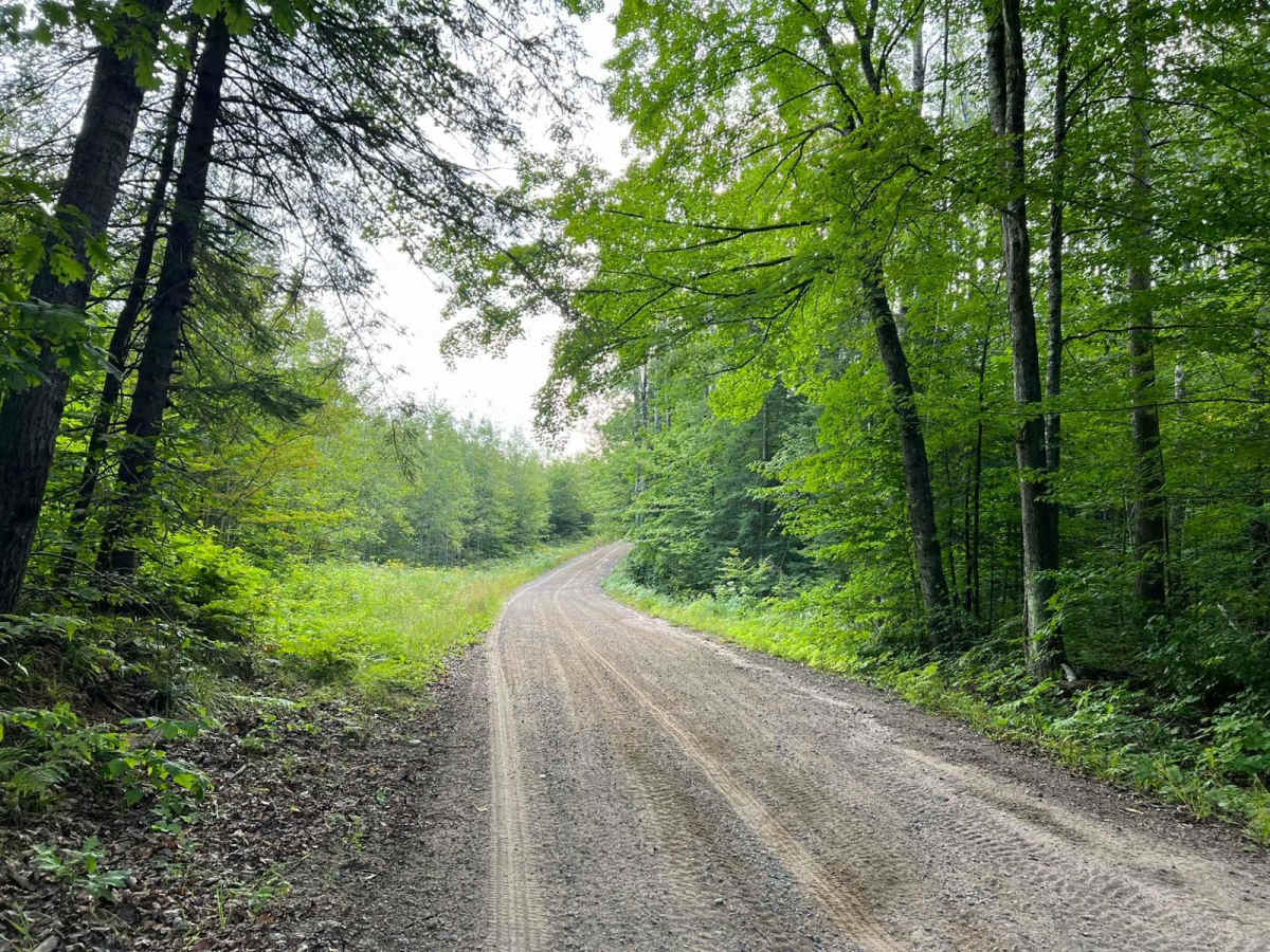 Camp 1 Road - FS 2361 photo 3