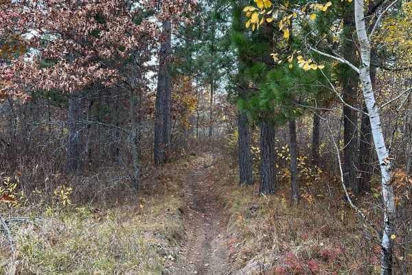 Finn Lake Loop