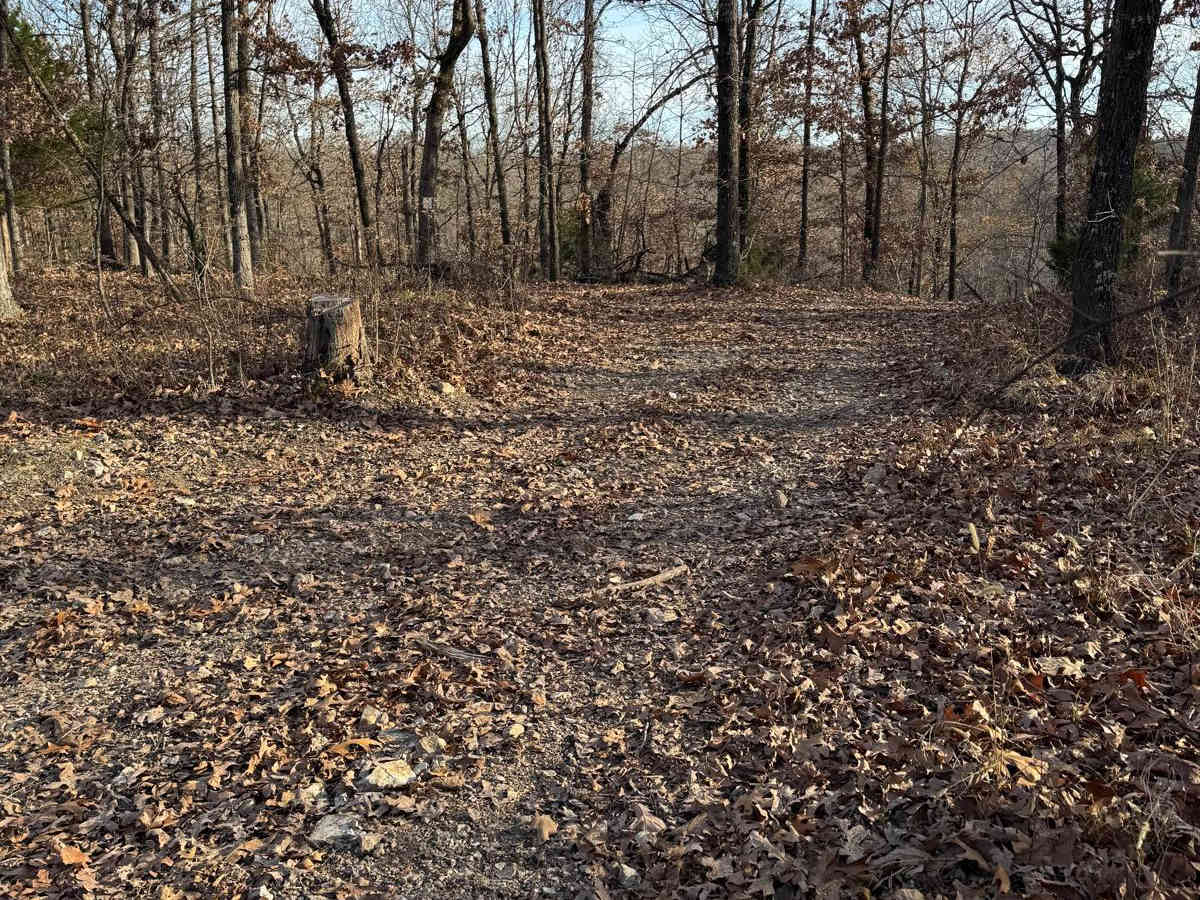 Green 260 trail photo