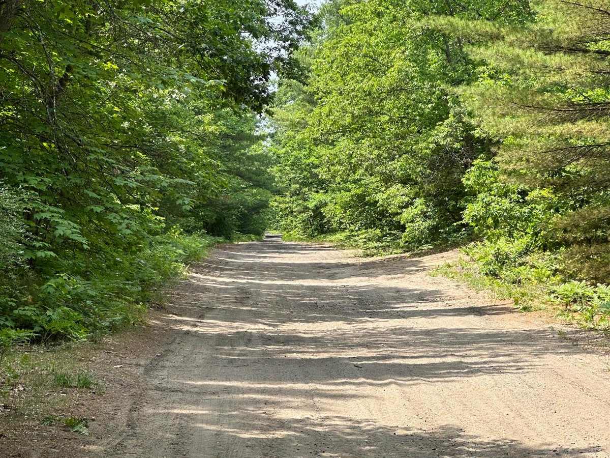 Rail Trail Part 2 photo 2