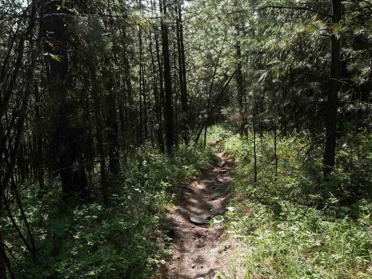 Trough Line trail photo