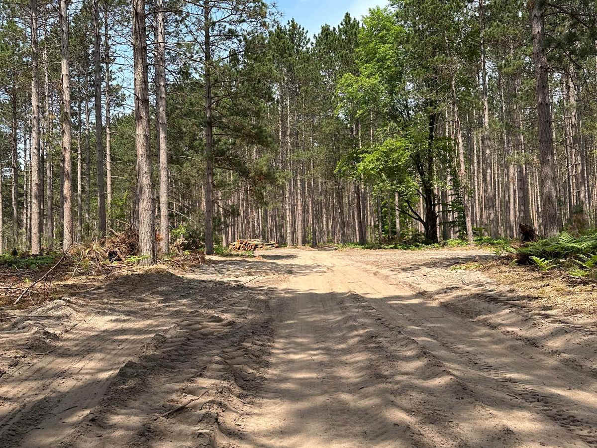 Betsie Road photo 4